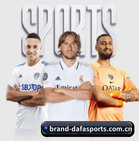 大发体育 APP - DAFA SPORTS